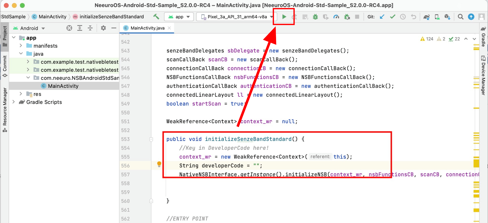 Image of inputting your developer code